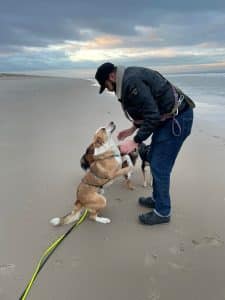 Foster met fosterhond op het strand