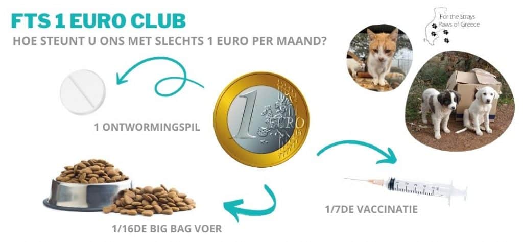 FTS 1 euro club: wat kun je met 1 euro?